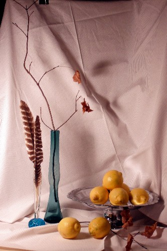 The actual set up with blue bottles and lemons.