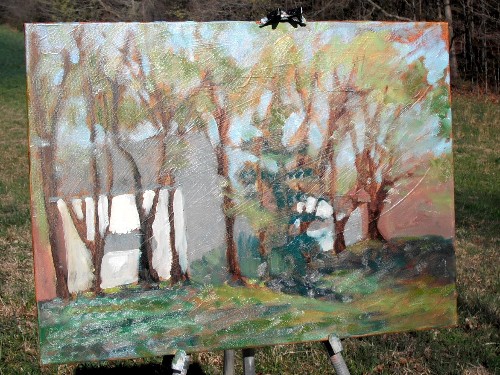 House in spring, step 3