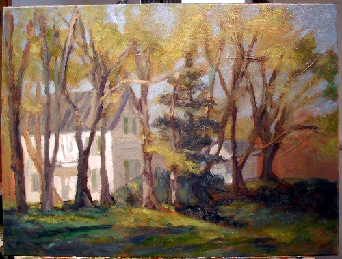 House in spring, step 5