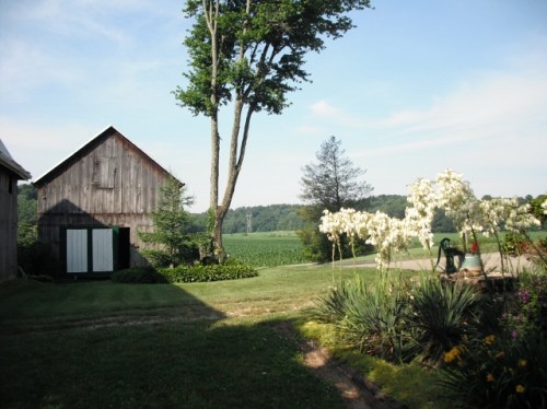 Blessinger Farm, initial view of little barn and valley