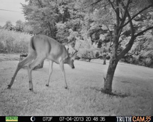 Evening muncher 6:45 p.m.
