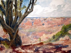 Grand Canyon Moran Point Step 2