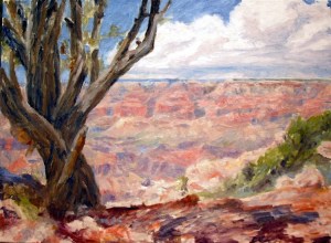 Grand Canyon Moran Point Step 3