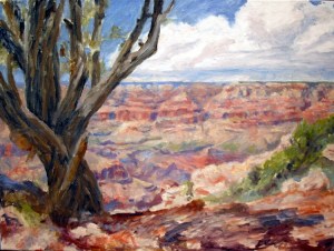 Grand Canyon Moran Point Step 4