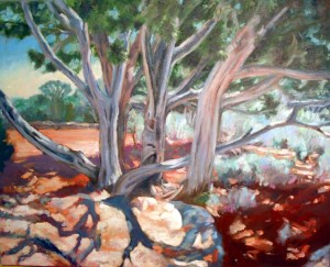 Junipers at Grand Canyon, final, oil on canvas, 24 x 30