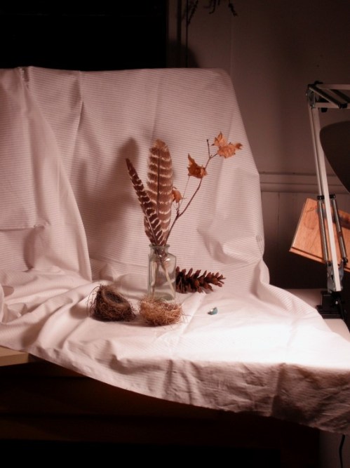 Typical still life set up. Notice the box with the drapery.