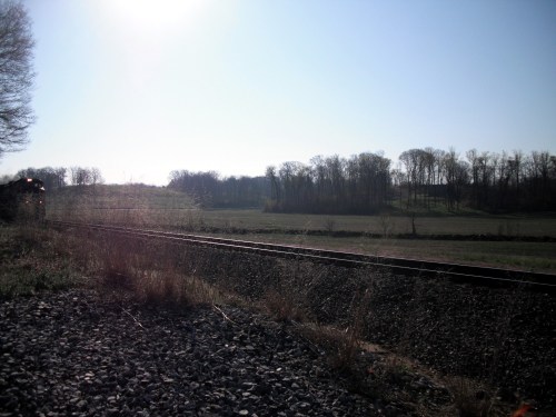 Uh oh, here comes the train!