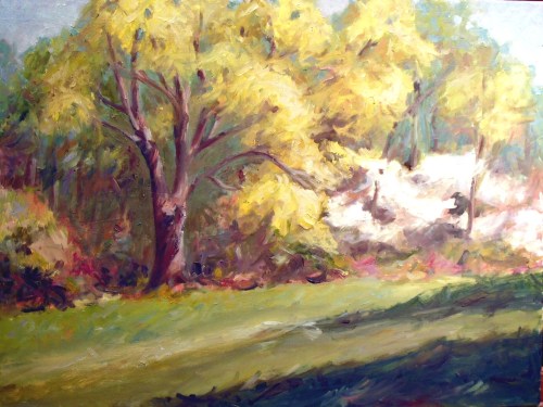 White oak in spring with dogwoods, 18 x 24, oil