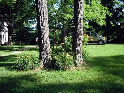 The original area with a busy background.