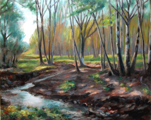 Ritter Creek, step 6, almost there