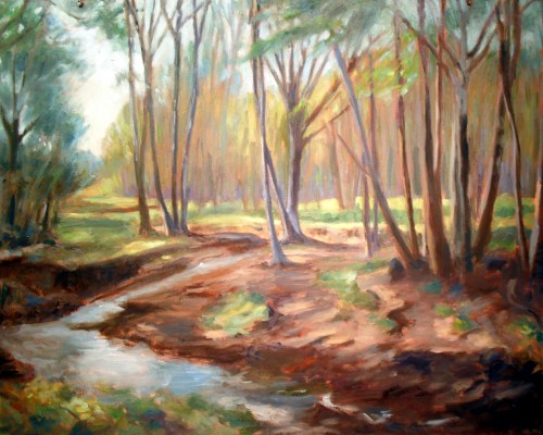 Ritter Creek, step 5, 