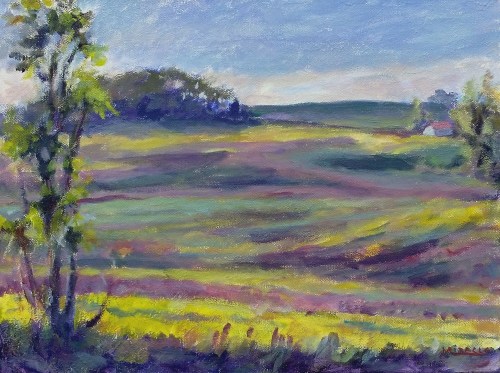 A sunny early morning painting2-1000
