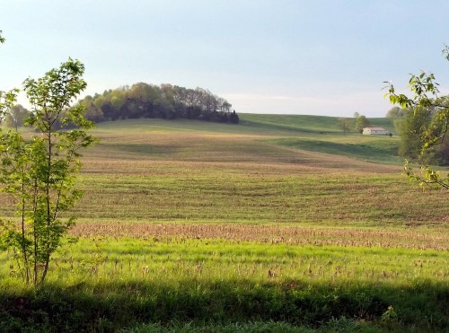 A sunny early morning photo 1000