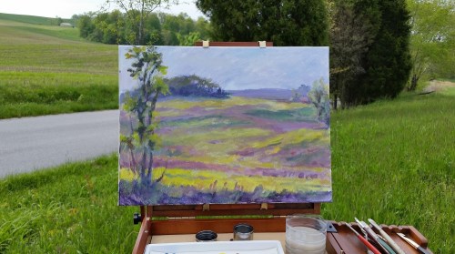 A sunny early morning photo - 2-1000