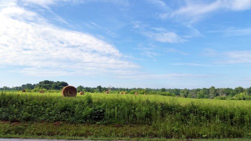 Hay bales, one potential view