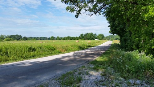 Final view chosen.  Loved the overhanging tree, the shadows and the contrasts.