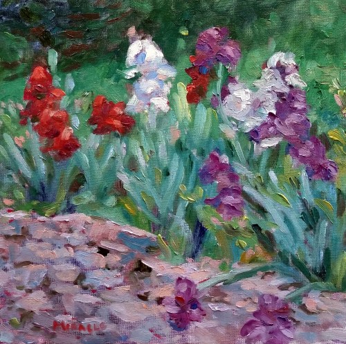 Kit Miracle, Irises, 10 x 10 oil