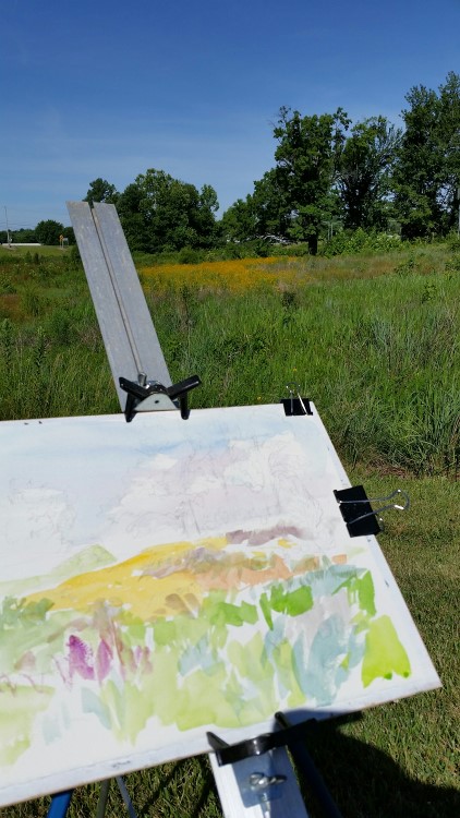 Preparing to paint the old oak tree and field of Black-eyed Susans