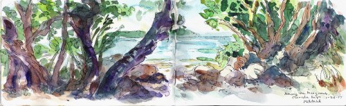 Plein air painting of Among the Mangroves, Florida Keys 2017