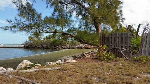 Photo from the location I painted from the Marathon park. 